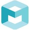 Seeing Machines Limited Logo