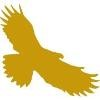 Self Management Group Logo