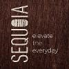 Sequoia Equities Logo