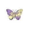 Serenity Hospice & Palliative Care Logo