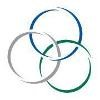 Shamrock Companies Logo