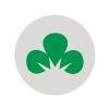 Shamrock Financial Logo