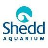 Shedd Aquarium Logo