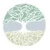 Sheperd Integrative Dermatology Logo