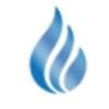 Shivit Technologies Logo