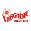 Shree Vibgyor Color Lab Logo