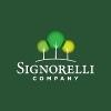 Signorelli Company Logo