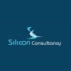 Silicon Consultancy Logo