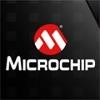 Silicon Storage Logo