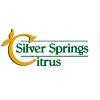 Silver Springs Logo