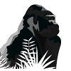 Silverback Network Logo