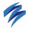Silverskills Logo