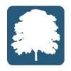 SilverTree Technology Logo