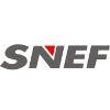 Singapore National Employers Federation Logo