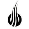 Sionyx Logo