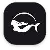Sirenis Hotels Logo