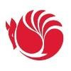 Siskin Enterprises Logo
