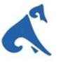 Sky Infotech Logo