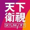 SKY LINK TV Logo