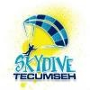 Skydive Tecumseh Logo