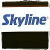 Skyline Displays Logo