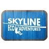 Skyline Eco-Adventures Logo