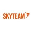 Skyteam Consolidadora Logo