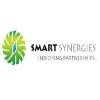 Smart Synergies Logo