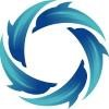 Smart Team Global Logo