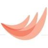 Smiles By Design Raman & Thompson Logo