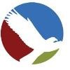 SOAR Management Consulting Logo