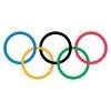 Sochi 2014 Olympic and Paralympic Organizing Committee Logo