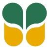 Soilbuild Group Holdings Logo