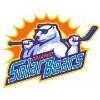 Solar Bear Logo
