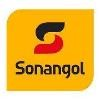 Sonangol USA Logo