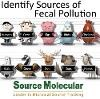 Source Molecular Corporation Logo