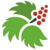 South East Alaska Regional Health Consortium Logo