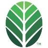 Southern Botanical Logo