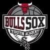 Chicago Bulls/Sox Training Academy Logo