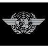 Special Services Tactical Logo