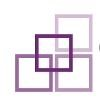 Spectrum Health Systems Logo