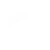SPI Management Services Logo