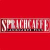 Sprachcaffe Logo