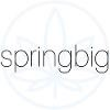 SpringBig Logo
