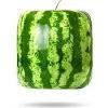 Square Melon Logo