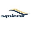 Squirrel Softech Services Logo
