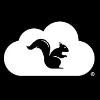 Squirrels Logo