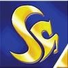 Srinivas Group Logo