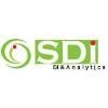 SRIS Data Intelligence Solutions Logo