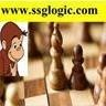SSG Software Systems Logo